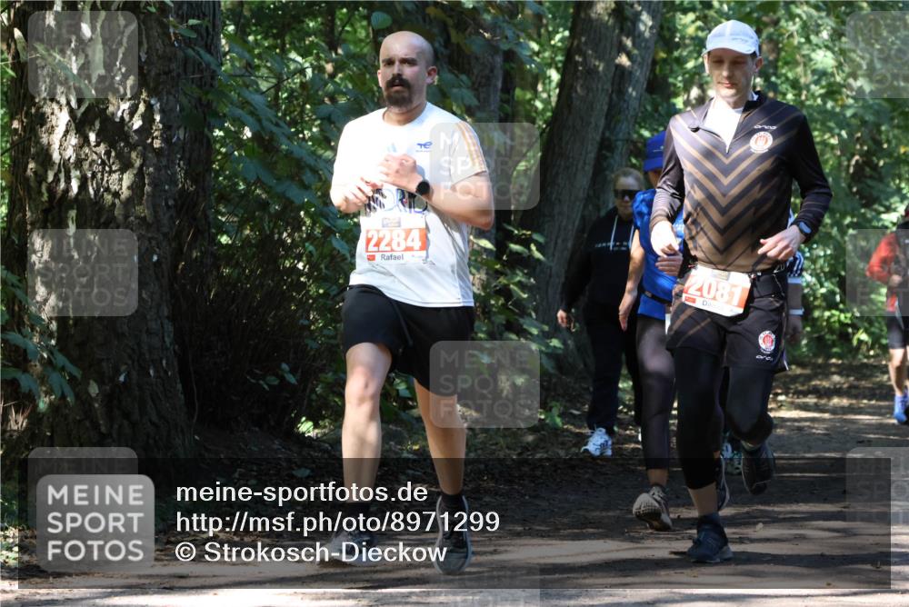 28.09.2025 - 33. Volkslauf durch das schöne Alstertal Strokosch-Dieckow http://msf.ph/oto/8971299 28.09.2025 12:11:35 Laufen 2284, 2081 meine-sportfotos.de