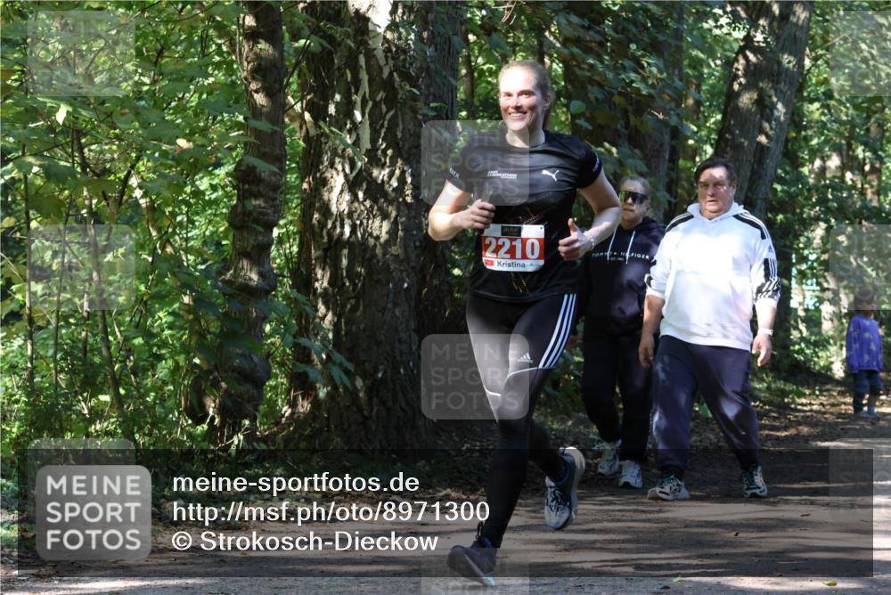 28.09.2025 - 33. Volkslauf durch das schöne Alstertal Strokosch-Dieckow http://msf.ph/oto/8971300 28.09.2025 12:11:40 Laufen 2210 meine-sportfotos.de