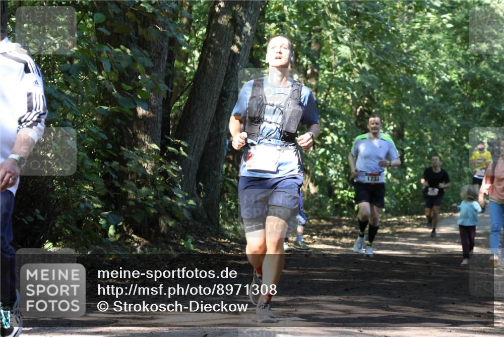 28.09.2025 - 33. Volkslauf durch das schöne Alstertal Strokosch-Dieckow http://msf.ph/oto/8971308 28.09.2025 12:11:44 Laufen 1733 meine-sportfotos.de