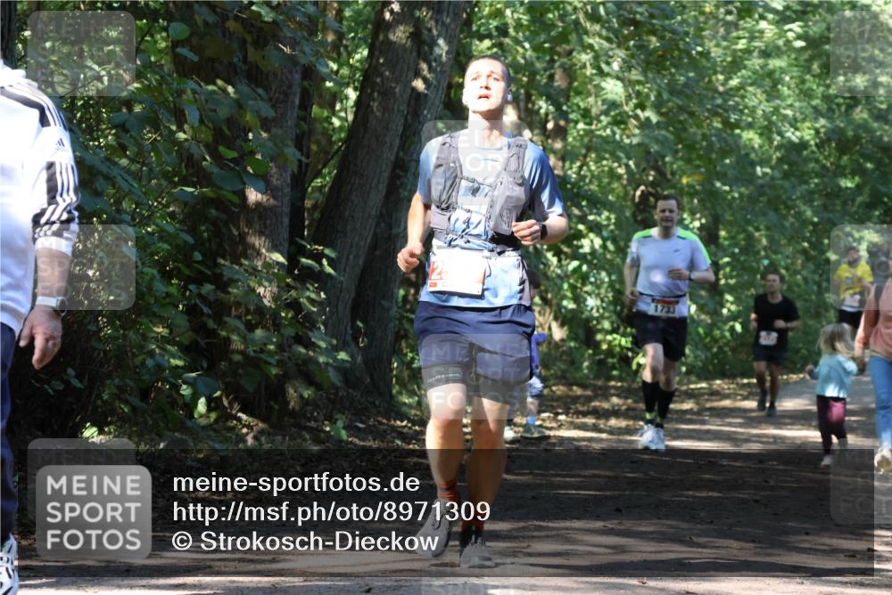28.09.2025 - 33. Volkslauf durch das schöne Alstertal Strokosch-Dieckow http://msf.ph/oto/8971309 28.09.2025 12:11:44 Laufen 1733 meine-sportfotos.de