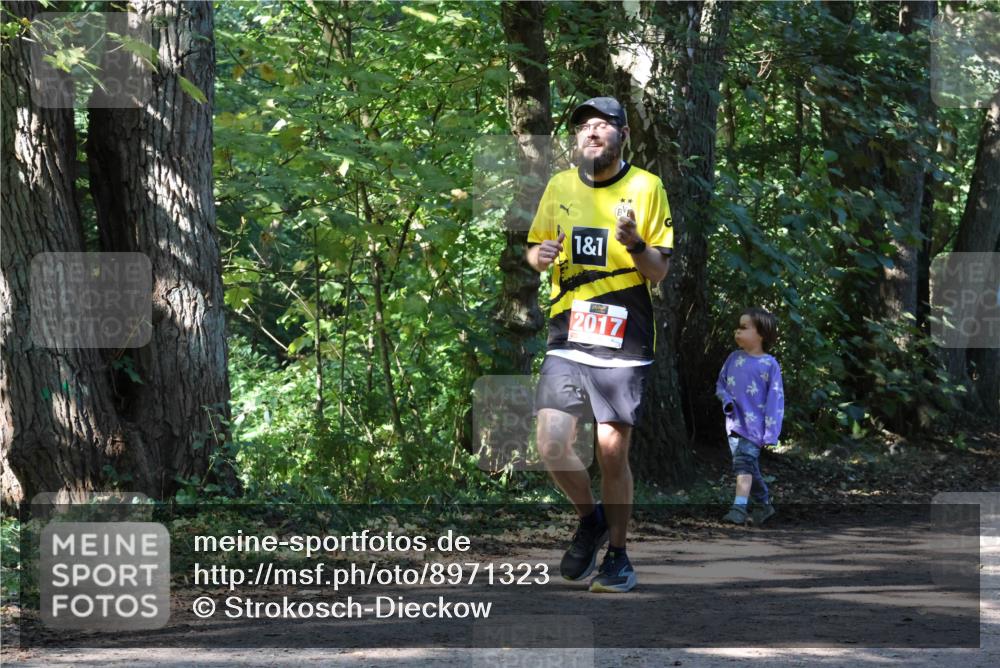 28.09.2025 - 33. Volkslauf durch das schöne Alstertal Strokosch-Dieckow http://msf.ph/oto/8971323 28.09.2025 12:12:00 Laufen 1, 1, 2017 meine-sportfotos.de