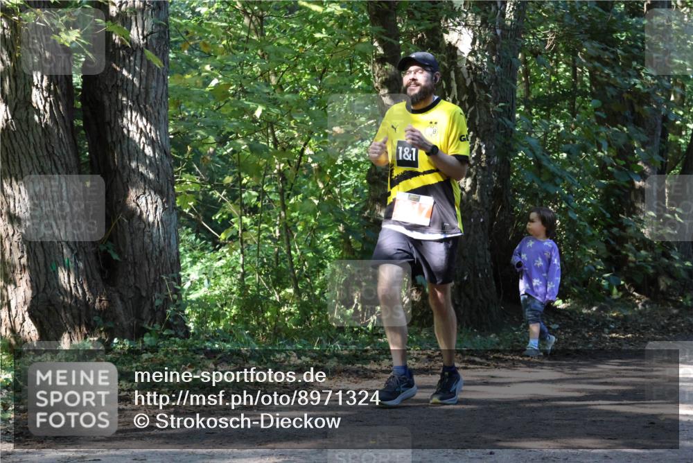 28.09.2025 - 33. Volkslauf durch das schöne Alstertal Strokosch-Dieckow http://msf.ph/oto/8971324 28.09.2025 12:12:00 Laufen 1, 1 meine-sportfotos.de