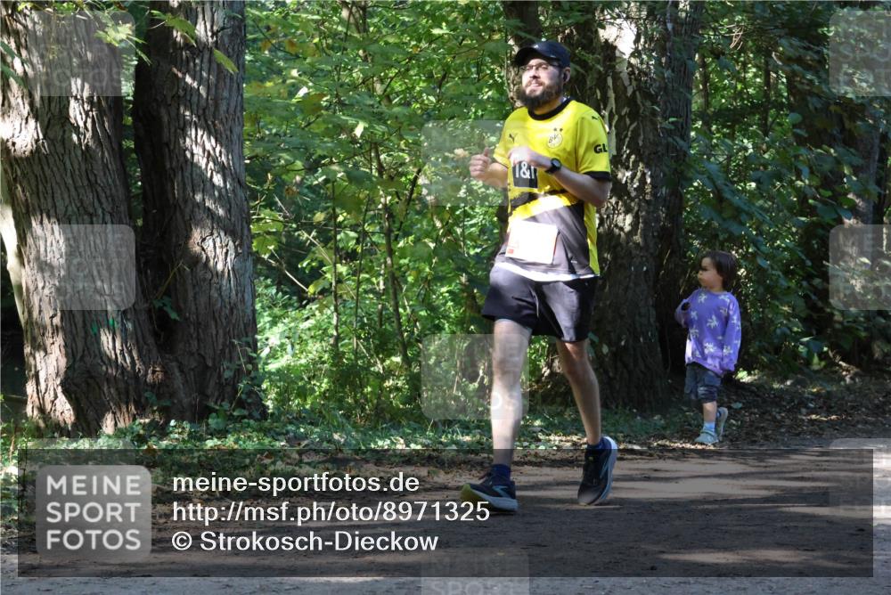 28.09.2025 - 33. Volkslauf durch das schöne Alstertal Strokosch-Dieckow http://msf.ph/oto/8971325 28.09.2025 12:12:01 Laufen 1, 1 meine-sportfotos.de