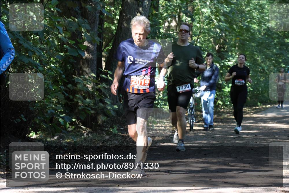 28.09.2025 - 33. Volkslauf durch das schöne Alstertal Strokosch-Dieckow http://msf.ph/oto/8971330 28.09.2025 12:12:07 Laufen 2019, 1730 meine-sportfotos.de