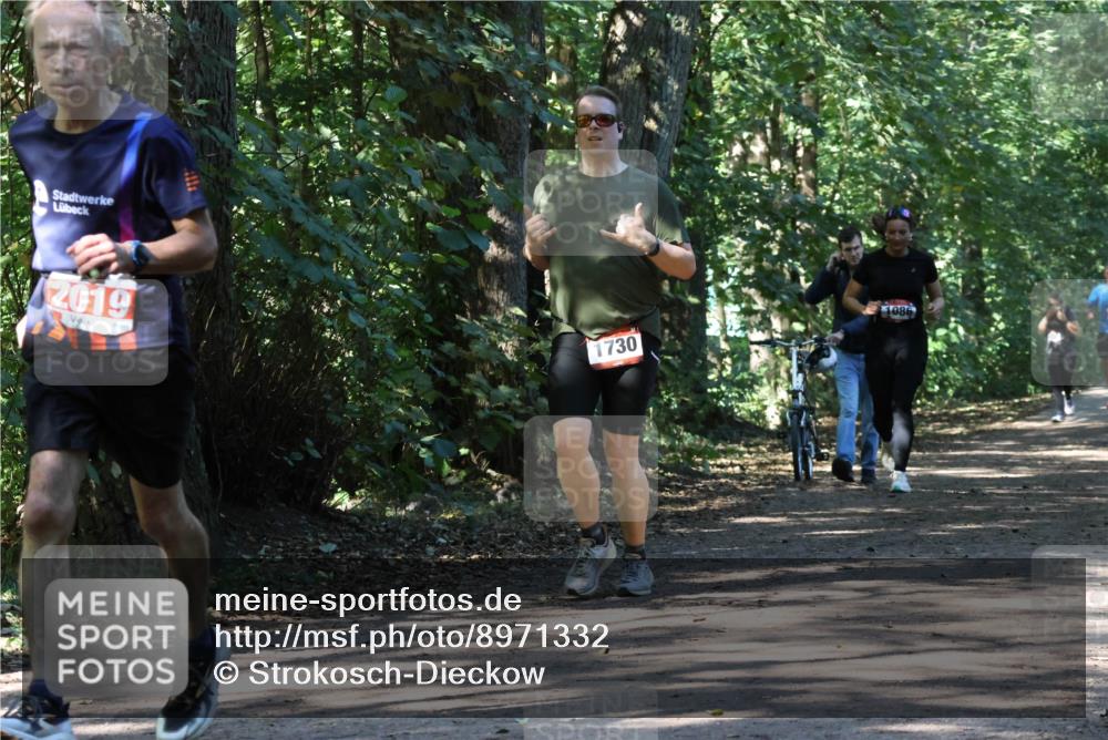 28.09.2025 - 33. Volkslauf durch das schöne Alstertal Strokosch-Dieckow http://msf.ph/oto/8971332 28.09.2025 12:12:09 Laufen 2019, 1730, 1086 meine-sportfotos.de