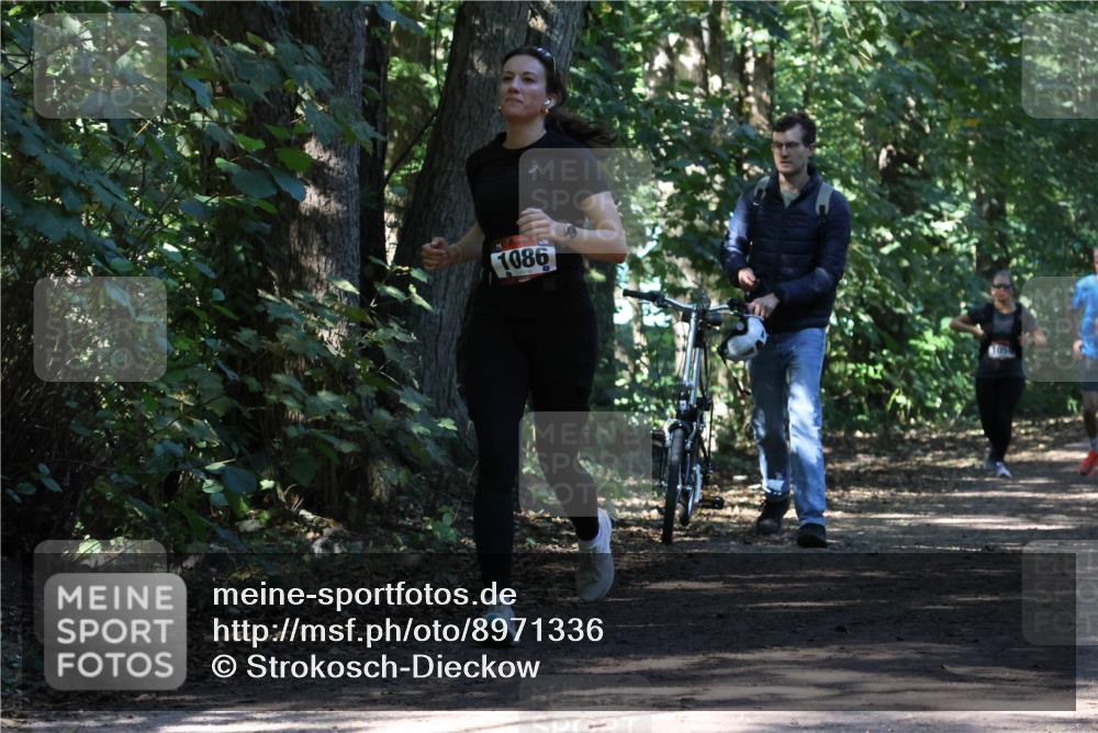 28.09.2025 - 33. Volkslauf durch das schöne Alstertal Strokosch-Dieckow http://msf.ph/oto/8971336 28.09.2025 12:12:11 Laufen 1086 meine-sportfotos.de