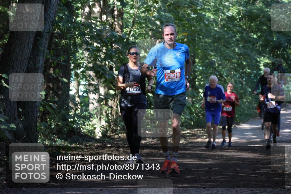 28.09.2025 - 33. Volkslauf durch das schöne Alstertal Strokosch-Dieckow http://msf.ph/oto/8971343 28.09.2025 12:12:19 Laufen 059, 2999, 1077 meine-sportfotos.de
