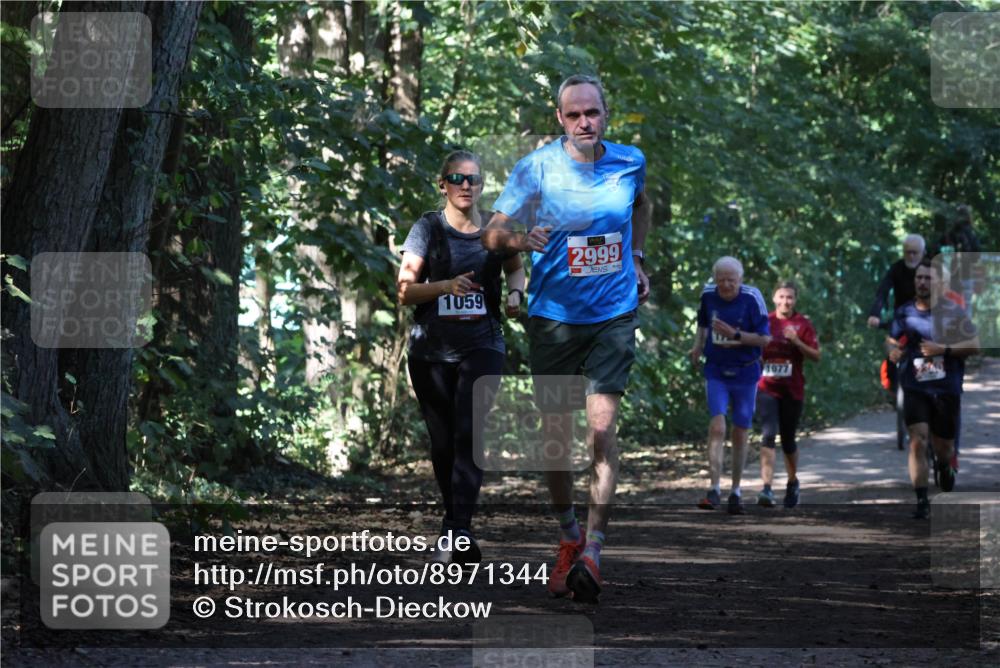 28.09.2025 - 33. Volkslauf durch das schöne Alstertal Strokosch-Dieckow http://msf.ph/oto/8971344 28.09.2025 12:12:19 Laufen 1059, 2999, 1077 meine-sportfotos.de