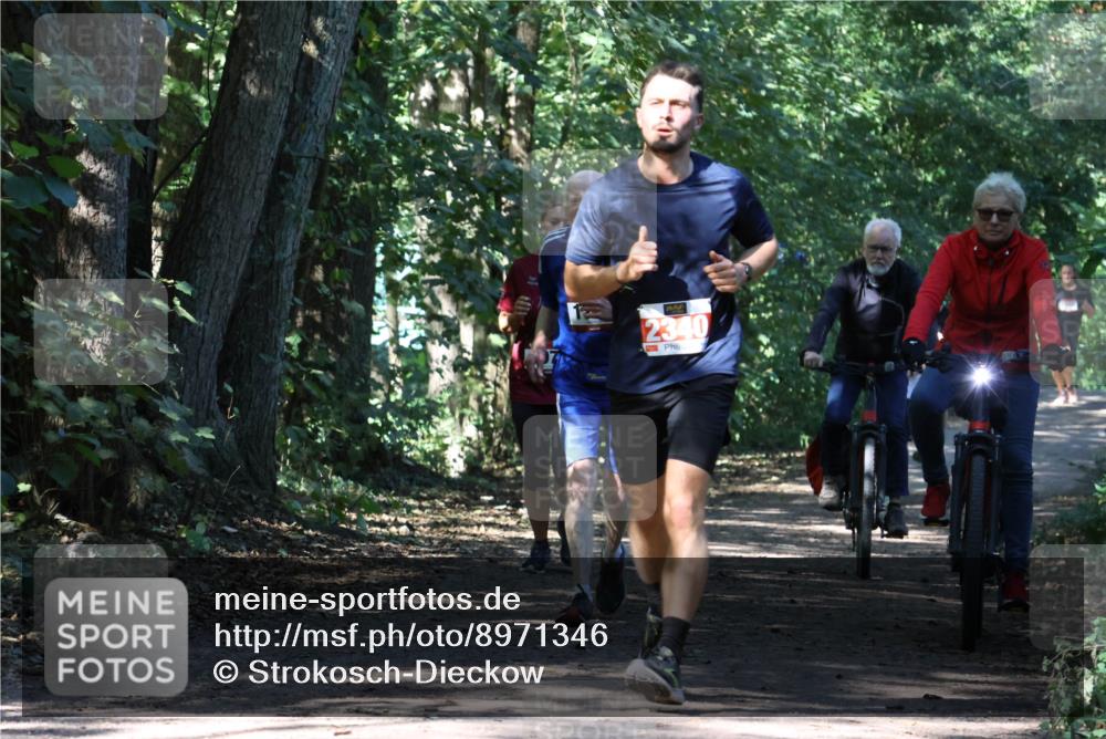 28.09.2025 - 33. Volkslauf durch das schöne Alstertal Strokosch-Dieckow http://msf.ph/oto/8971346 28.09.2025 12:12:28 Laufen 2340 meine-sportfotos.de