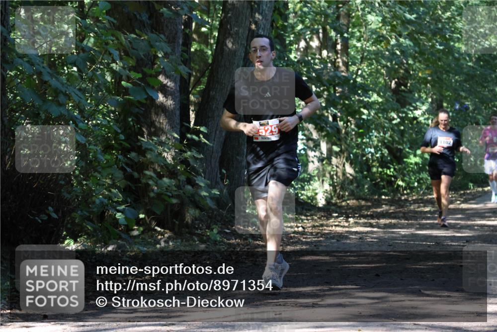 28.09.2025 - 33. Volkslauf durch das schöne Alstertal Strokosch-Dieckow http://msf.ph/oto/8971354 28.09.2025 12:12:41 Laufen 529, 1102 meine-sportfotos.de