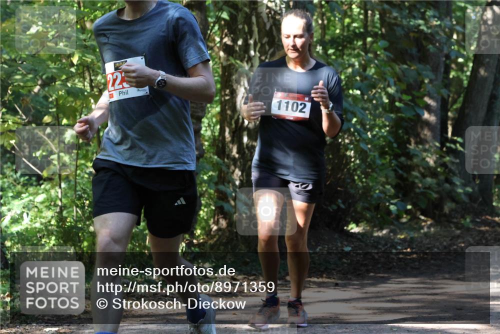 28.09.2025 - 33. Volkslauf durch das schöne Alstertal Strokosch-Dieckow http://msf.ph/oto/8971359 28.09.2025 12:12:50 Laufen 225, 1102 meine-sportfotos.de