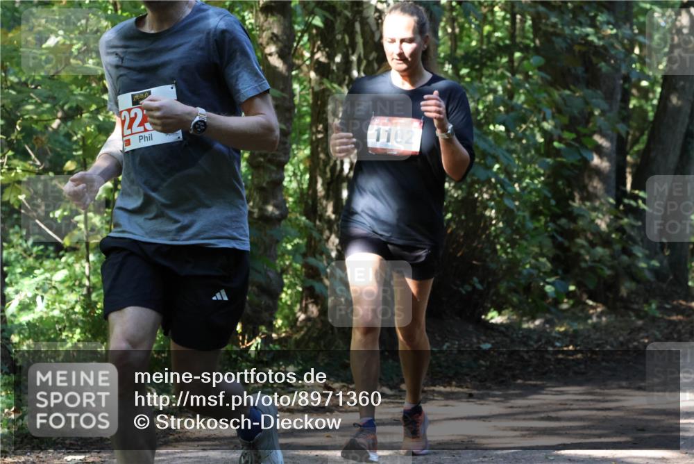 28.09.2025 - 33. Volkslauf durch das schöne Alstertal Strokosch-Dieckow http://msf.ph/oto/8971360 28.09.2025 12:12:50 Laufen 223, 1102 meine-sportfotos.de
