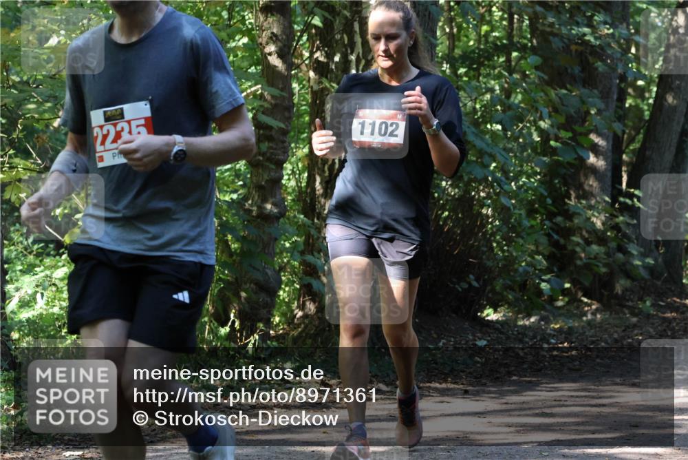 28.09.2025 - 33. Volkslauf durch das schöne Alstertal Strokosch-Dieckow http://msf.ph/oto/8971361 28.09.2025 12:12:50 Laufen 22, 25, 1102 meine-sportfotos.de