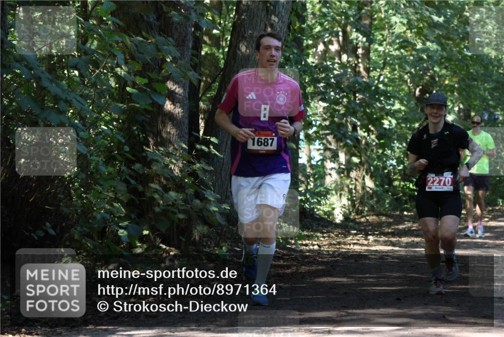 28.09.2025 - 33. Volkslauf durch das schöne Alstertal Strokosch-Dieckow http://msf.ph/oto/8971364 28.09.2025 12:12:52 Laufen 1687, 2270, 3 meine-sportfotos.de