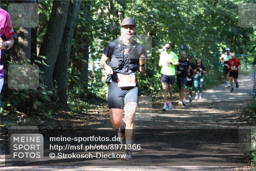 28.09.2025 - 33. Volkslauf durch das schöne Alstertal Strokosch-Dieckow http://msf.ph/oto/8971366 28.09.2025 12:12:54 Laufen 270 meine-sportfotos.de
