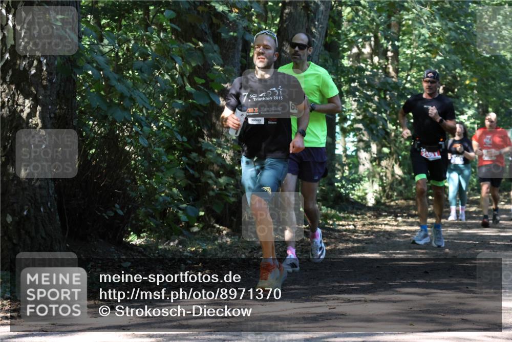 28.09.2025 - 33. Volkslauf durch das schöne Alstertal Strokosch-Dieckow http://msf.ph/oto/8971370 28.09.2025 12:13:02 Laufen 25, 2015, 451 meine-sportfotos.de