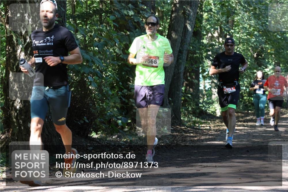 28.09.2025 - 33. Volkslauf durch das schöne Alstertal Strokosch-Dieckow http://msf.ph/oto/8971373 28.09.2025 12:13:03 Laufen 2015, 566, 2151 meine-sportfotos.de