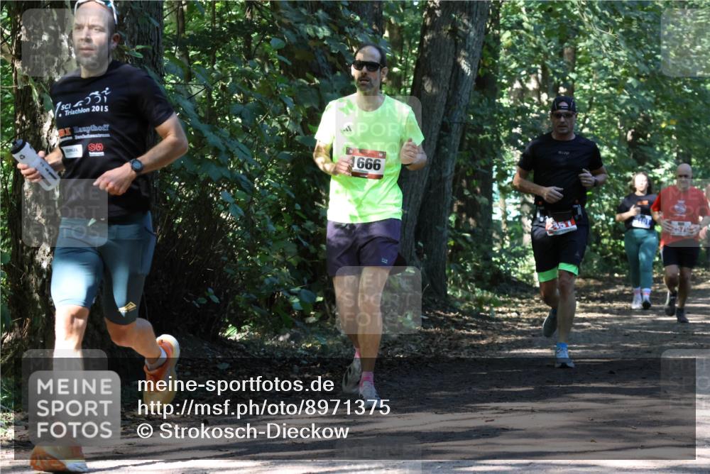 28.09.2025 - 33. Volkslauf durch das schöne Alstertal Strokosch-Dieckow http://msf.ph/oto/8971375 28.09.2025 12:13:03 Laufen 2015, 666, 2570 meine-sportfotos.de