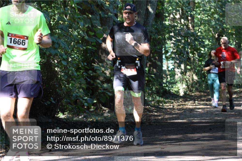 28.09.2025 - 33. Volkslauf durch das schöne Alstertal Strokosch-Dieckow http://msf.ph/oto/8971376 28.09.2025 12:13:04 Laufen 1666, 04 meine-sportfotos.de