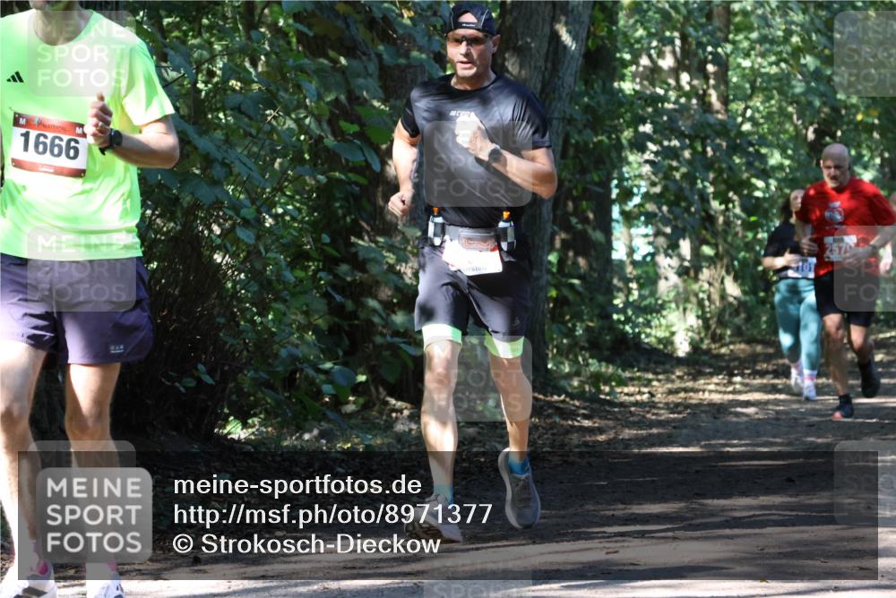 28.09.2025 - 33. Volkslauf durch das schöne Alstertal Strokosch-Dieckow http://msf.ph/oto/8971377 28.09.2025 12:13:05 Laufen 1666 meine-sportfotos.de