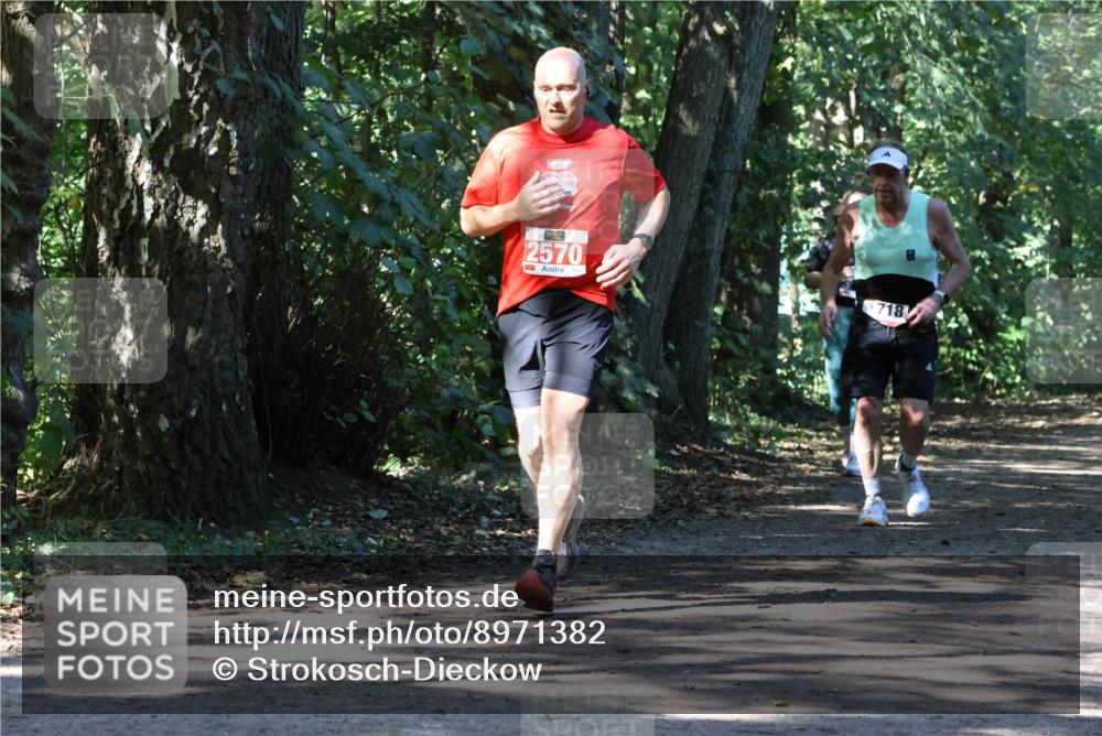 28.09.2025 - 33. Volkslauf durch das schöne Alstertal Strokosch-Dieckow http://msf.ph/oto/8971382 28.09.2025 12:13:09 Laufen 2570, 718 meine-sportfotos.de