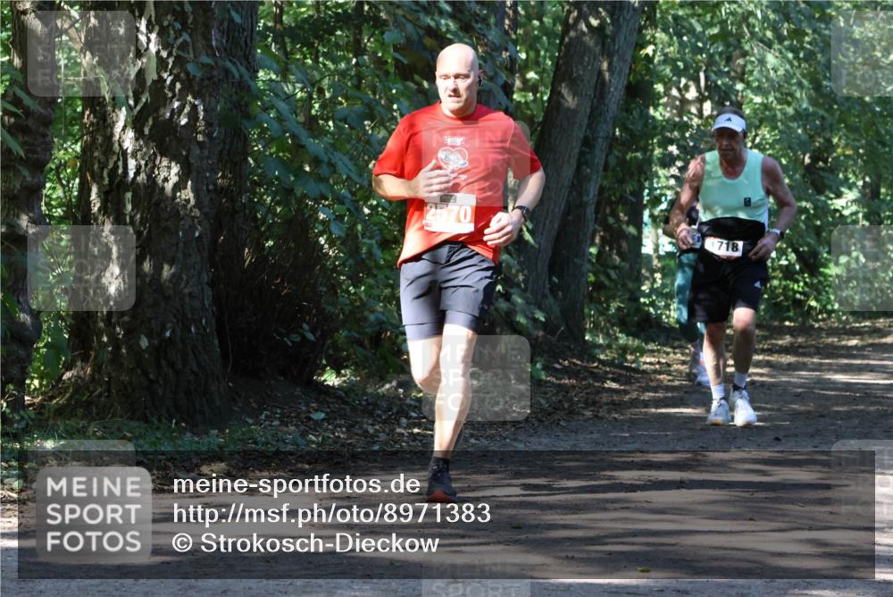 28.09.2025 - 33. Volkslauf durch das schöne Alstertal Strokosch-Dieckow http://msf.ph/oto/8971383 28.09.2025 12:13:09 Laufen 2570, 718 meine-sportfotos.de