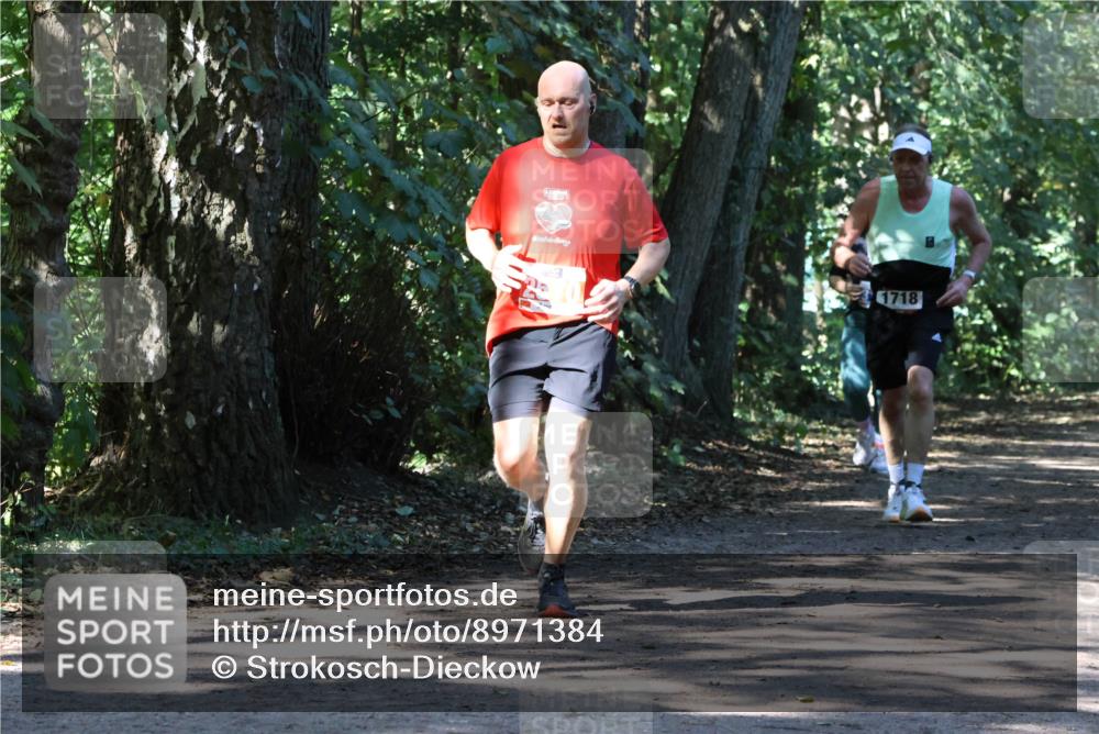 28.09.2025 - 33. Volkslauf durch das schöne Alstertal Strokosch-Dieckow http://msf.ph/oto/8971384 28.09.2025 12:13:09 Laufen 1718 meine-sportfotos.de