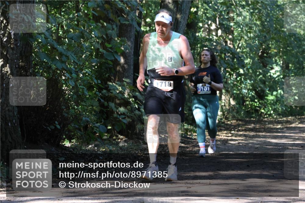 28.09.2025 - 33. Volkslauf durch das schöne Alstertal Strokosch-Dieckow http://msf.ph/oto/8971385 28.09.2025 12:13:11 Laufen 1718, 3101 meine-sportfotos.de