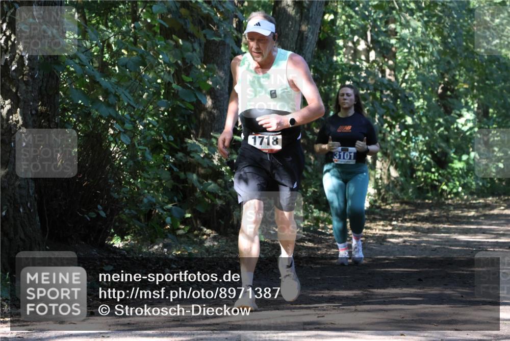 28.09.2025 - 33. Volkslauf durch das schöne Alstertal Strokosch-Dieckow http://msf.ph/oto/8971387 28.09.2025 12:13:11 Laufen 1718, 111, 3101 meine-sportfotos.de