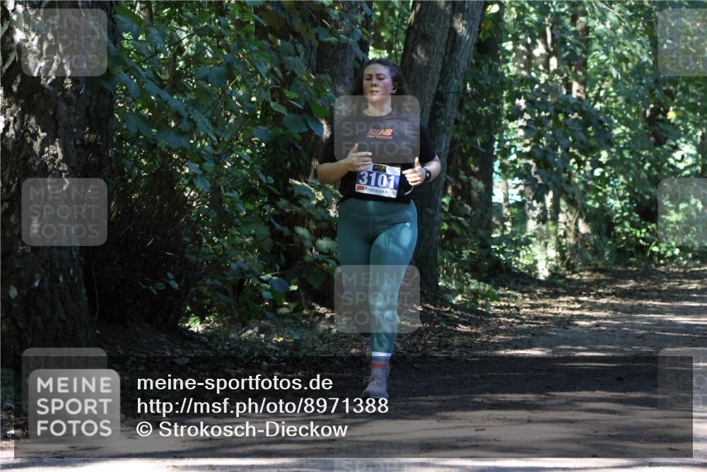 28.09.2025 - 33. Volkslauf durch das schöne Alstertal Strokosch-Dieckow http://msf.ph/oto/8971388 28.09.2025 12:13:14 Laufen 3101 meine-sportfotos.de