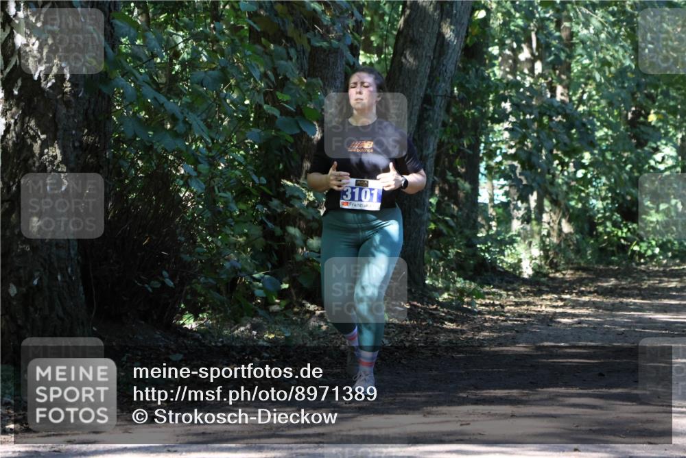 28.09.2025 - 33. Volkslauf durch das schöne Alstertal Strokosch-Dieckow http://msf.ph/oto/8971389 28.09.2025 12:13:14 Laufen 3101 meine-sportfotos.de