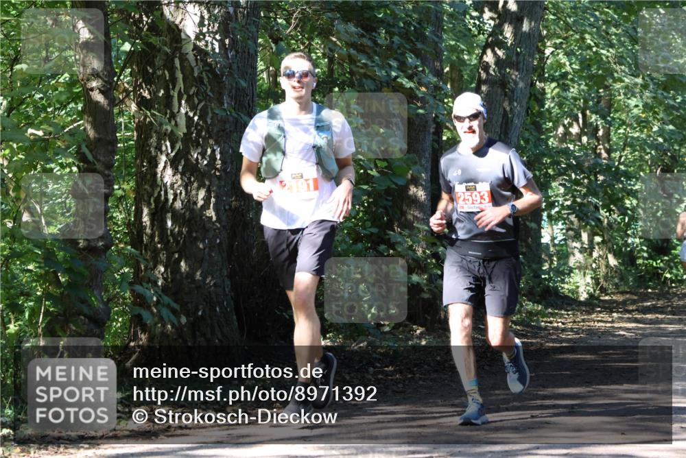 28.09.2025 - 33. Volkslauf durch das schöne Alstertal Strokosch-Dieckow http://msf.ph/oto/8971392 28.09.2025 12:13:29 Laufen 0, 2593 meine-sportfotos.de