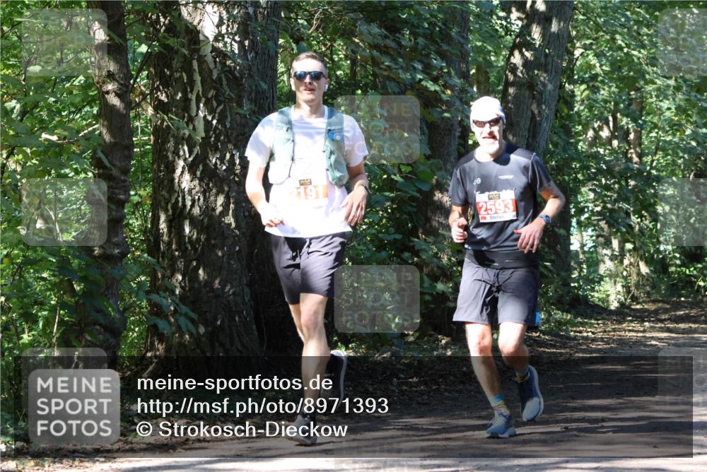 28.09.2025 - 33. Volkslauf durch das schöne Alstertal Strokosch-Dieckow http://msf.ph/oto/8971393 28.09.2025 12:13:30 Laufen 191, 2593 meine-sportfotos.de