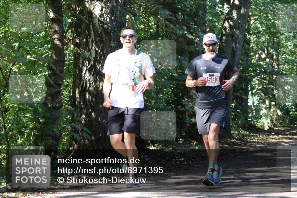 28.09.2025 - 33. Volkslauf durch das schöne Alstertal Strokosch-Dieckow http://msf.ph/oto/8971395 28.09.2025 12:13:30 Laufen 2593 meine-sportfotos.de