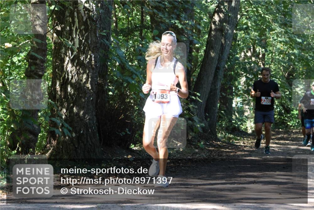 28.09.2025 - 33. Volkslauf durch das schöne Alstertal Strokosch-Dieckow http://msf.ph/oto/8971397 28.09.2025 12:13:38 Laufen 1093, 2300 meine-sportfotos.de