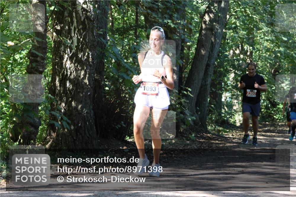 28.09.2025 - 33. Volkslauf durch das schöne Alstertal Strokosch-Dieckow http://msf.ph/oto/8971398 28.09.2025 12:13:38 Laufen 2300, 1093 meine-sportfotos.de