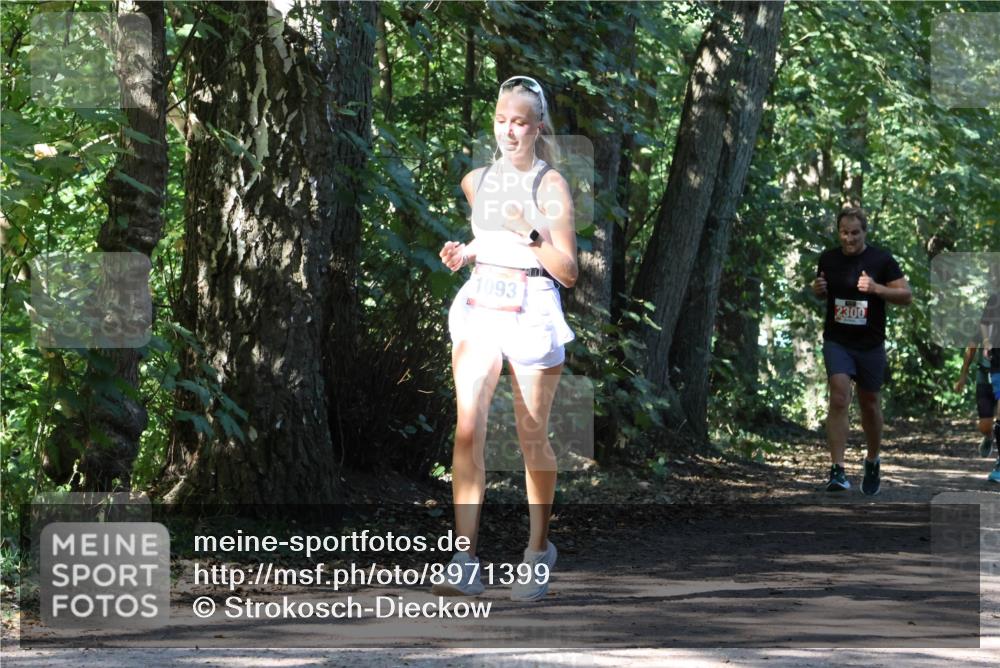 28.09.2025 - 33. Volkslauf durch das schöne Alstertal Strokosch-Dieckow http://msf.ph/oto/8971399 28.09.2025 12:13:38 Laufen 2300, 1093 meine-sportfotos.de