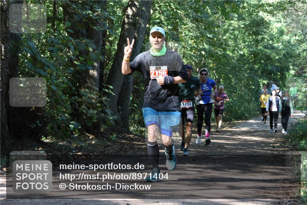 28.09.2025 - 33. Volkslauf durch das schöne Alstertal Strokosch-Dieckow http://msf.ph/oto/8971404 28.09.2025 12:13:43 Laufen 2166, 1732 meine-sportfotos.de