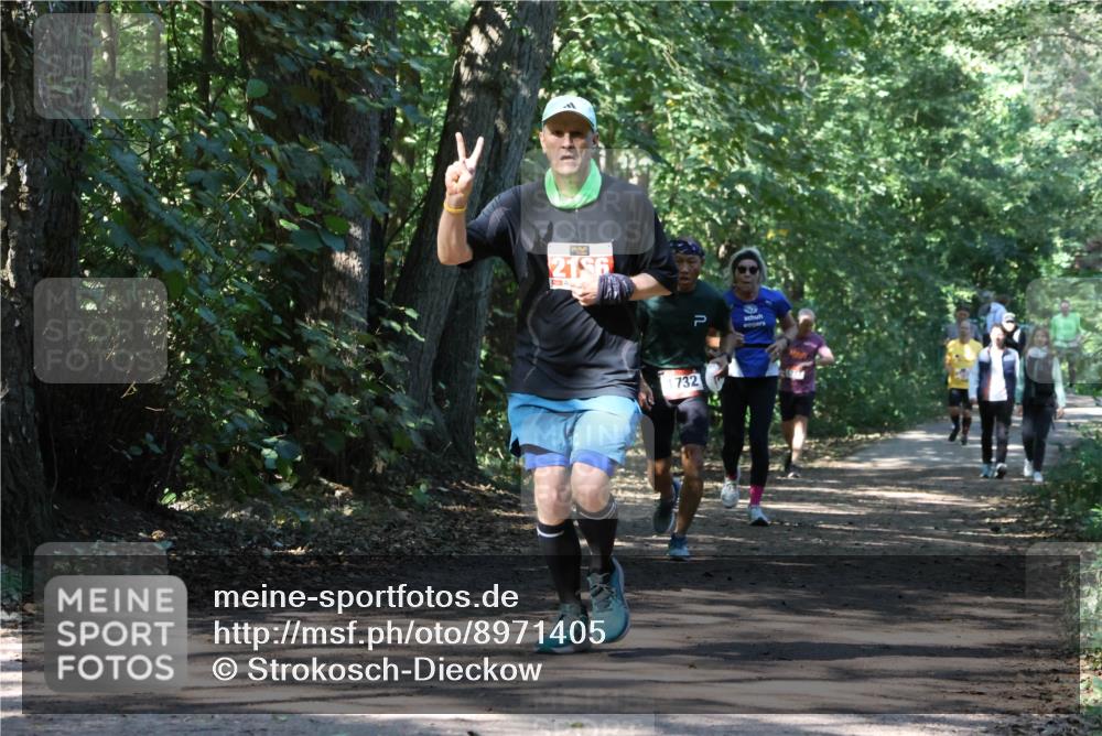 28.09.2025 - 33. Volkslauf durch das schöne Alstertal Strokosch-Dieckow http://msf.ph/oto/8971405 28.09.2025 12:13:43 Laufen 2156, 732 meine-sportfotos.de