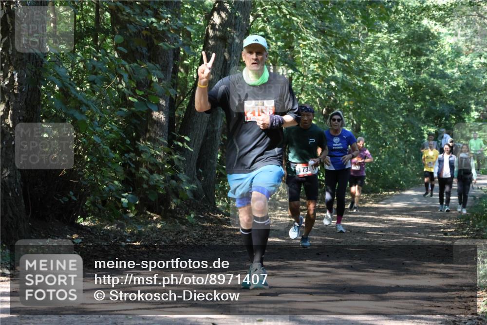 28.09.2025 - 33. Volkslauf durch das schöne Alstertal Strokosch-Dieckow http://msf.ph/oto/8971407 28.09.2025 12:13:43 Laufen 2166, 73 meine-sportfotos.de