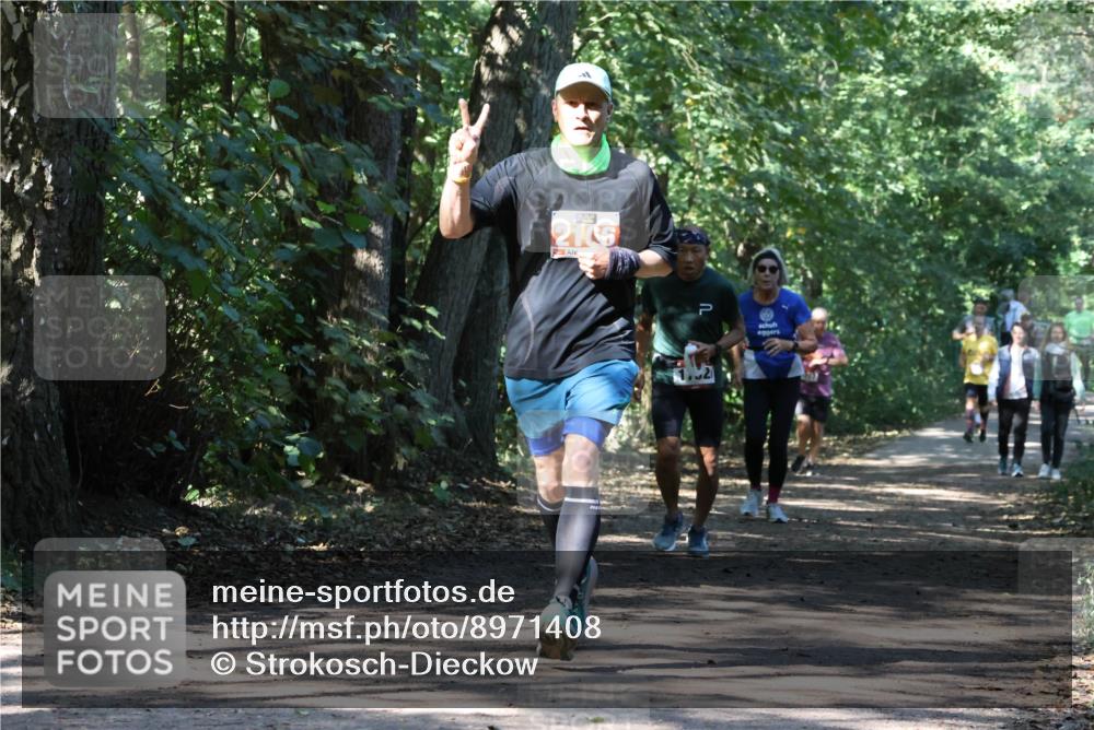 28.09.2025 - 33. Volkslauf durch das schöne Alstertal Strokosch-Dieckow http://msf.ph/oto/8971408 28.09.2025 12:13:43 Laufen 2106 meine-sportfotos.de