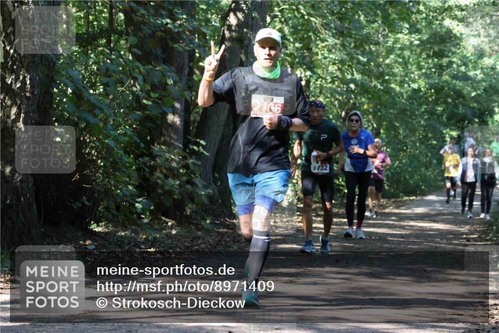 28.09.2025 - 33. Volkslauf durch das schöne Alstertal Strokosch-Dieckow http://msf.ph/oto/8971409 28.09.2025 12:13:43 Laufen 2166, 1, 32 meine-sportfotos.de