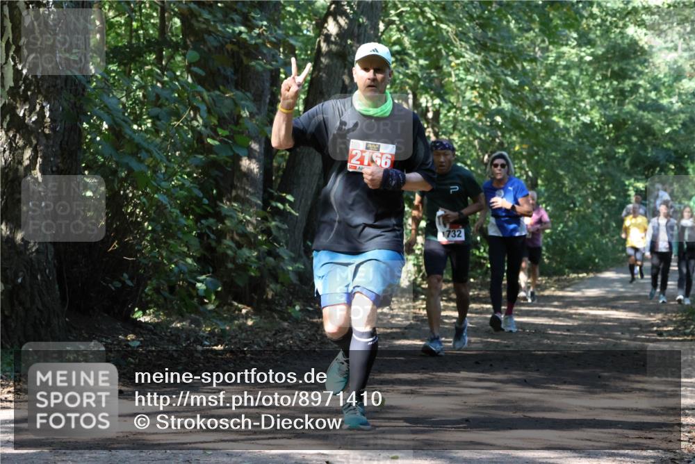 28.09.2025 - 33. Volkslauf durch das schöne Alstertal Strokosch-Dieckow http://msf.ph/oto/8971410 28.09.2025 12:13:43 Laufen 2156, 1732 meine-sportfotos.de