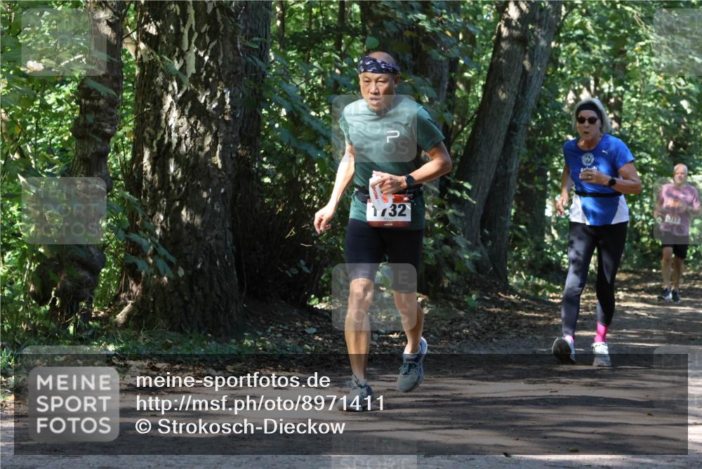 28.09.2025 - 33. Volkslauf durch das schöne Alstertal Strokosch-Dieckow http://msf.ph/oto/8971411 28.09.2025 12:13:46 Laufen 732, 917 meine-sportfotos.de