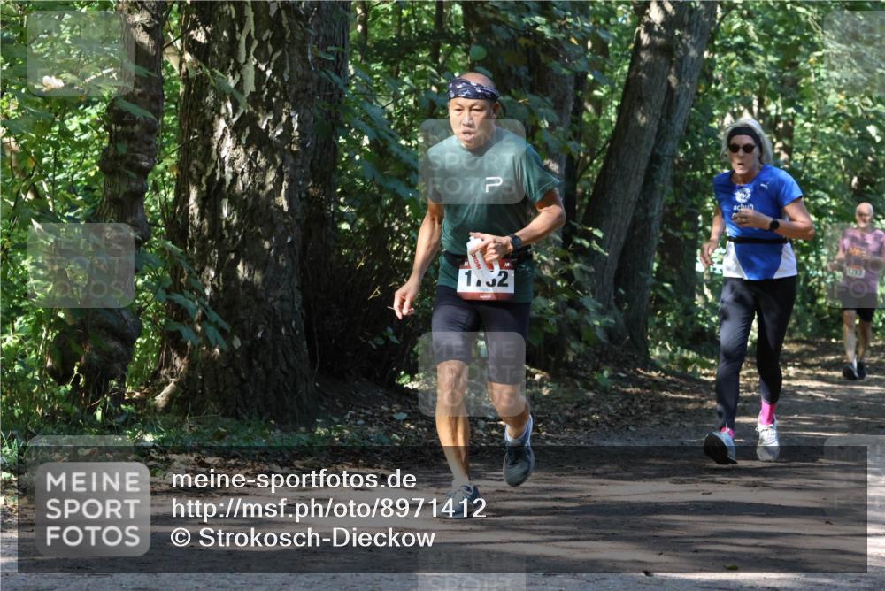 28.09.2025 - 33. Volkslauf durch das schöne Alstertal Strokosch-Dieckow http://msf.ph/oto/8971412 28.09.2025 12:13:46 Laufen 1, 32 meine-sportfotos.de