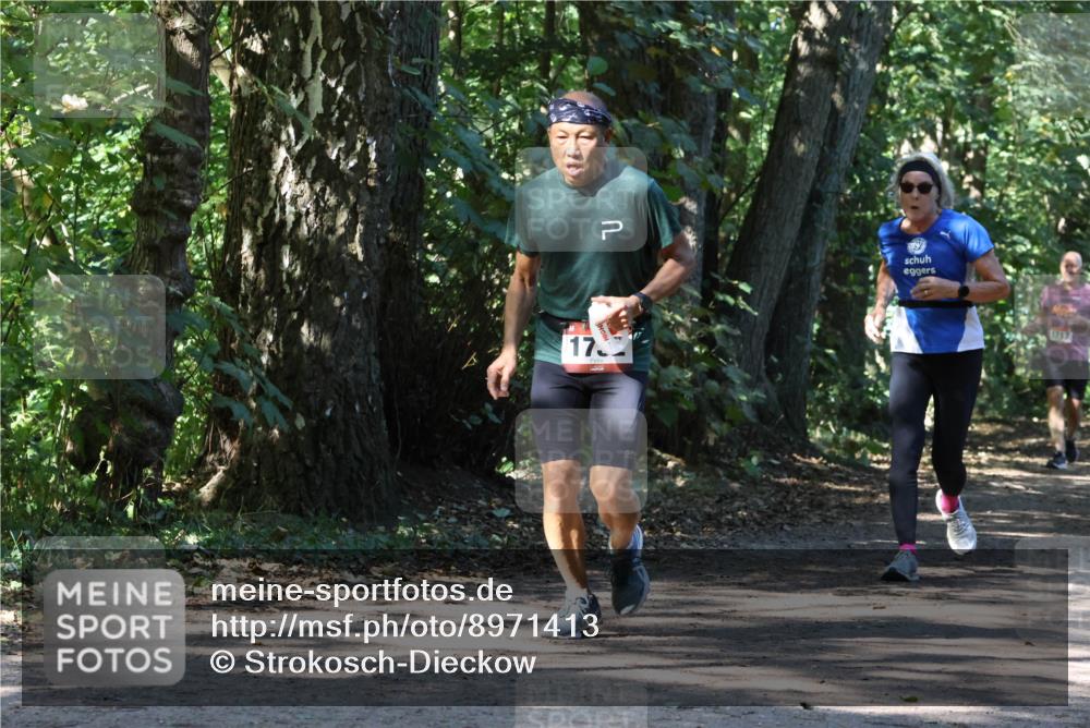 28.09.2025 - 33. Volkslauf durch das schöne Alstertal Strokosch-Dieckow http://msf.ph/oto/8971413 28.09.2025 12:13:46 Laufen 17, 1717 meine-sportfotos.de
