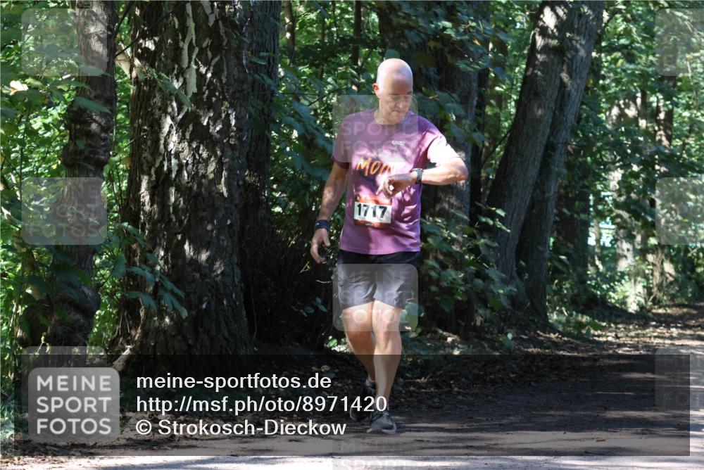 28.09.2025 - 33. Volkslauf durch das schöne Alstertal Strokosch-Dieckow http://msf.ph/oto/8971420 28.09.2025 12:13:54 Laufen 1717 meine-sportfotos.de