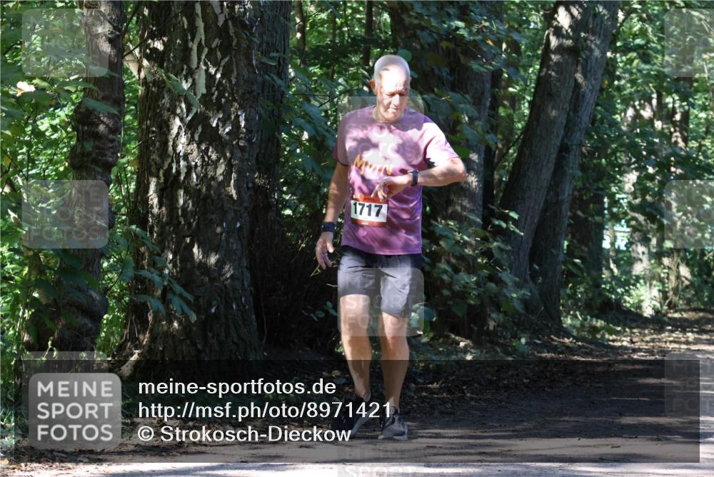 28.09.2025 - 33. Volkslauf durch das schöne Alstertal Strokosch-Dieckow http://msf.ph/oto/8971421 28.09.2025 12:13:54 Laufen 1717 meine-sportfotos.de