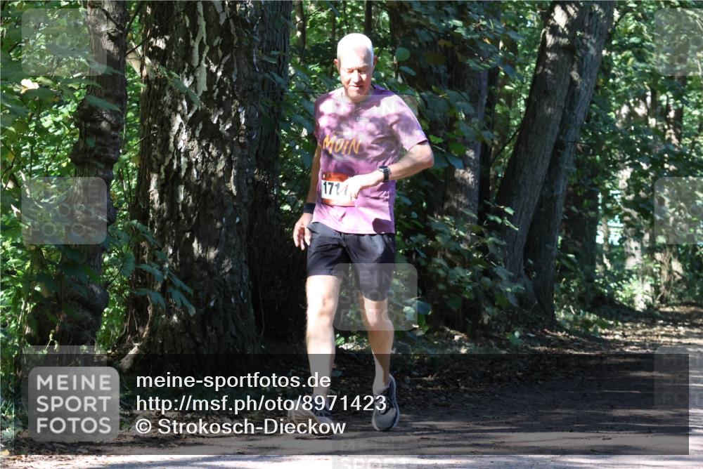 28.09.2025 - 33. Volkslauf durch das schöne Alstertal Strokosch-Dieckow http://msf.ph/oto/8971423 28.09.2025 12:13:54 Laufen 1711 meine-sportfotos.de