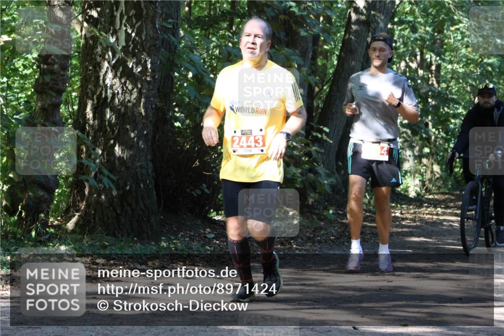 28.09.2025 - 33. Volkslauf durch das schöne Alstertal Strokosch-Dieckow http://msf.ph/oto/8971424 28.09.2025 12:13:58 Laufen 2443 meine-sportfotos.de